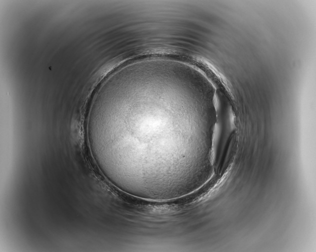 X0000096401025200801241156