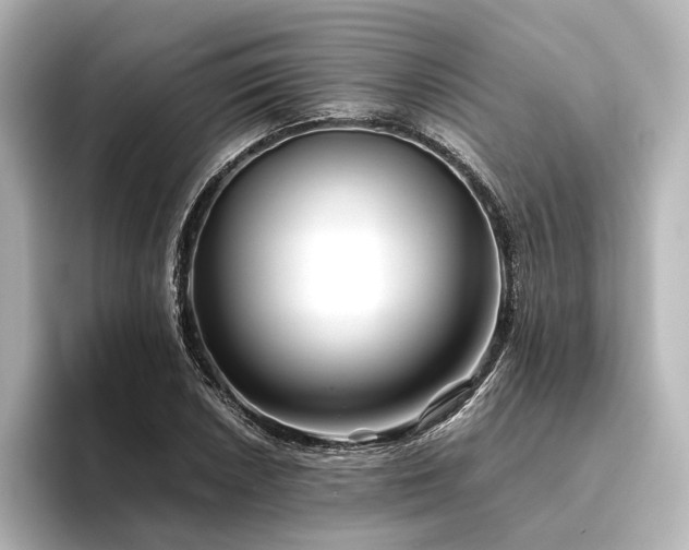 X0000096401026200801241156