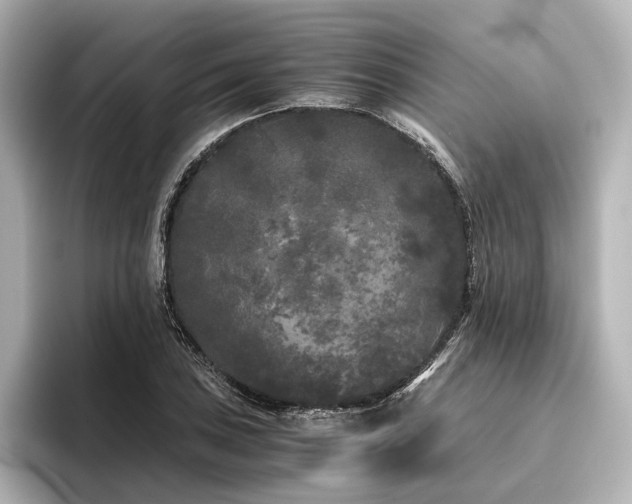 X0000096401027200801241156