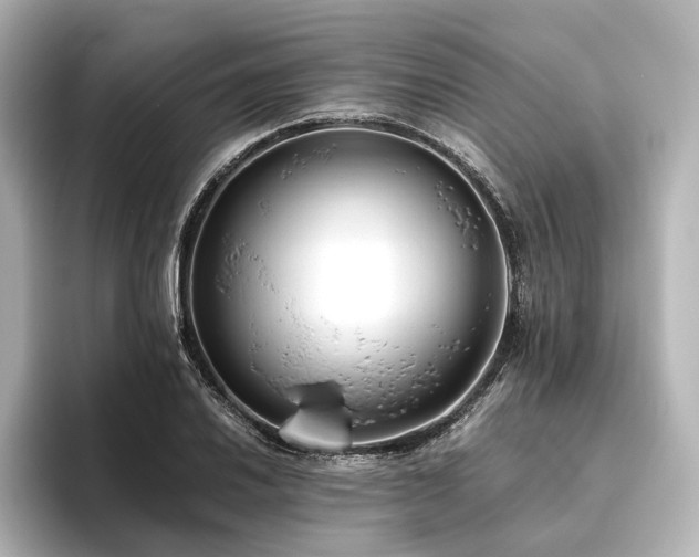 X0000096401030200801241156