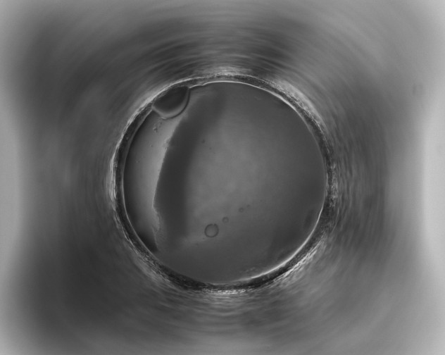 X0000096401031200801241156