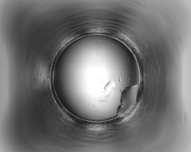 X0000096401033200801241156