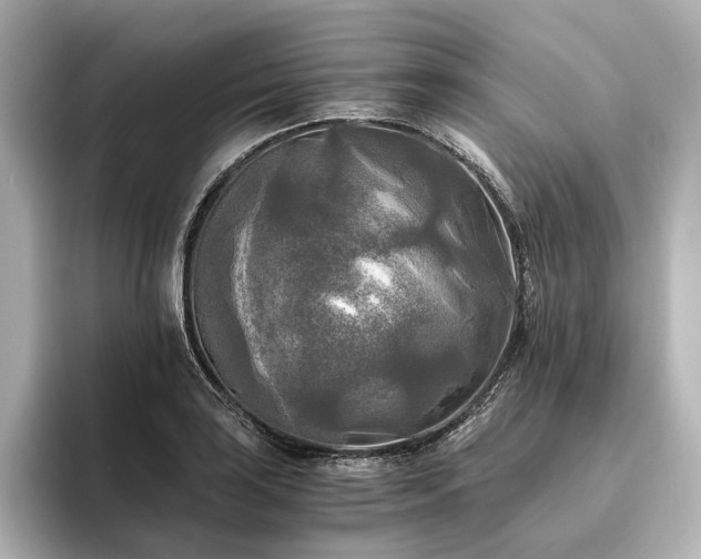 X0000096401035200801241156