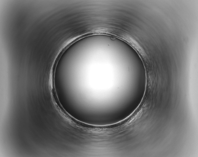 X0000096401036200801241156