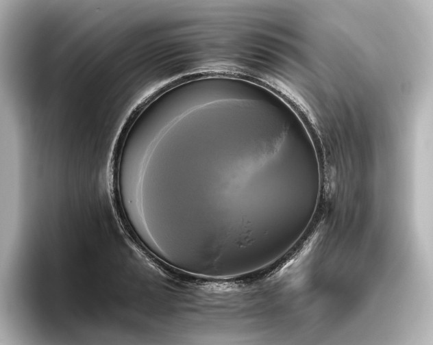 X0000096401037200801241157