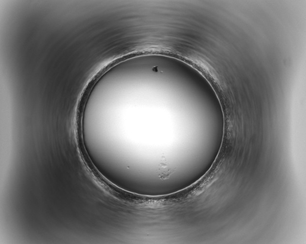 X0000096401038200801241157