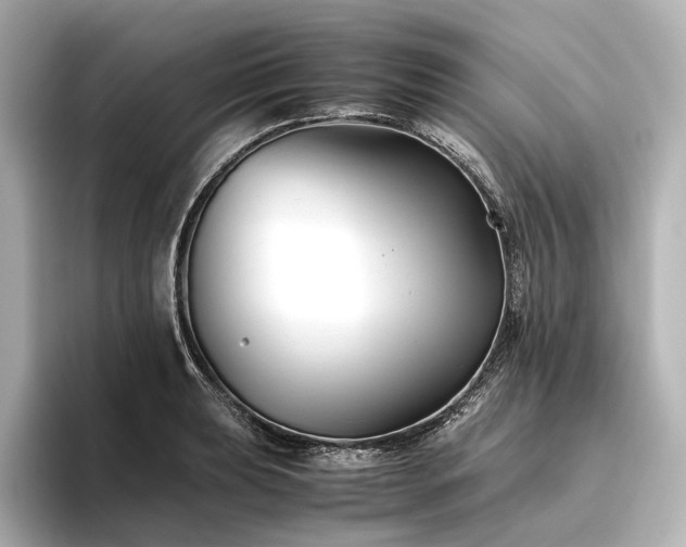 X0000096401039200801241157