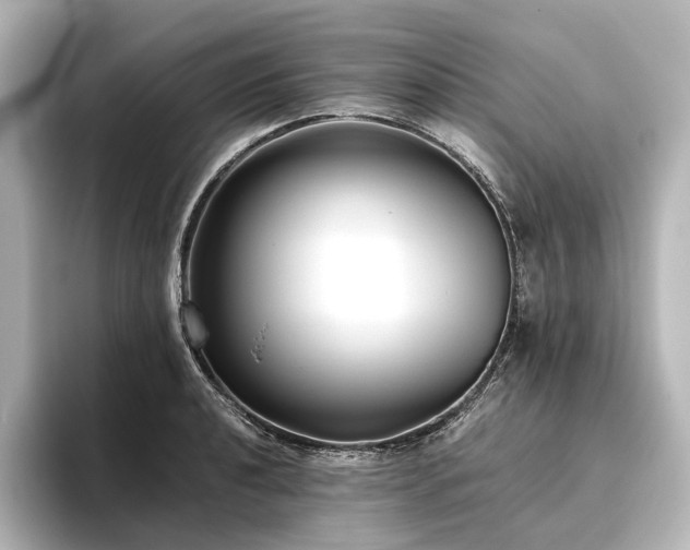 X0000096401040200801241157