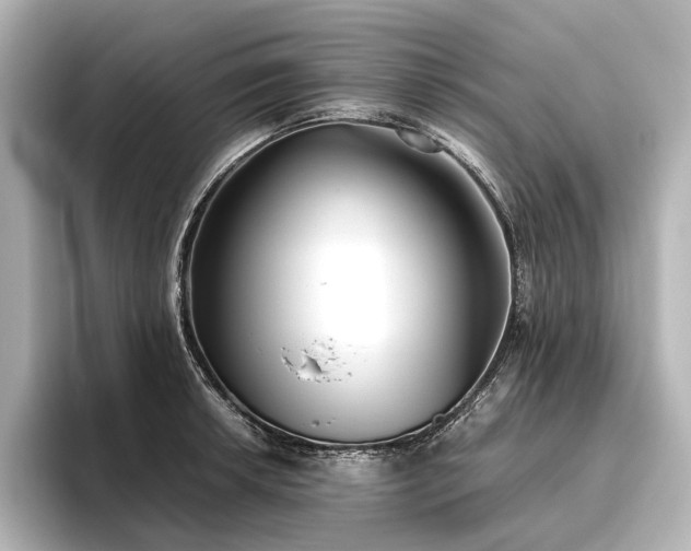 X0000096401042200801241157