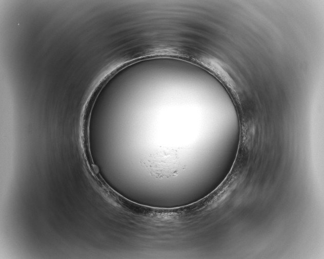 X0000096401043200801241157