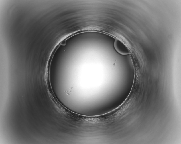 X0000096401044200801241157