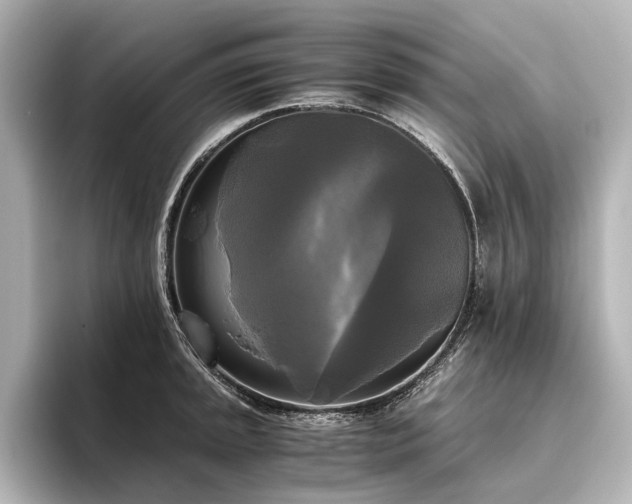 X0000096401045200801241157