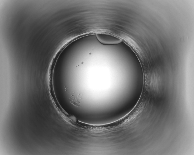 X0000096401046200801241157