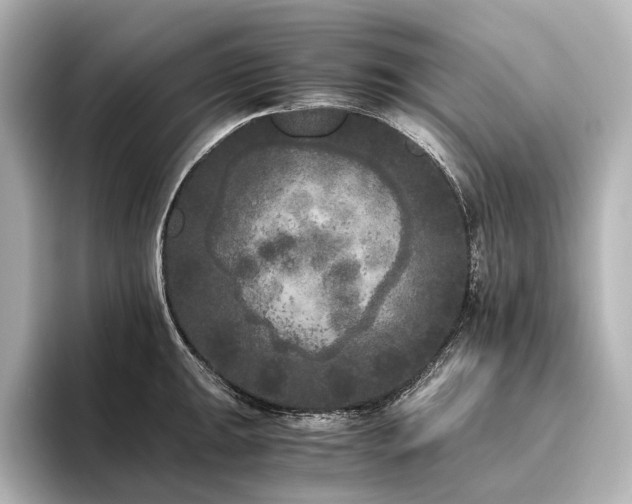 X0000096401047200801241157