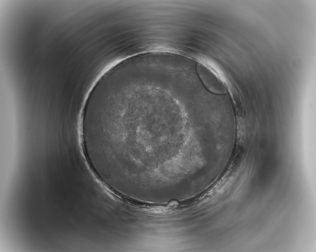 X0000096401048200801241157