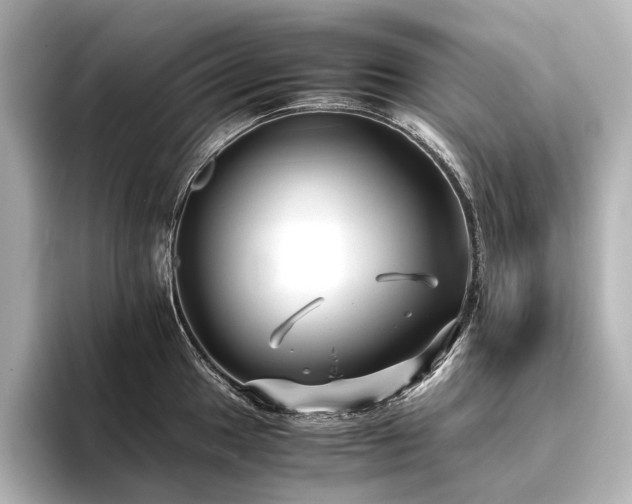 X0000096401049200801241157