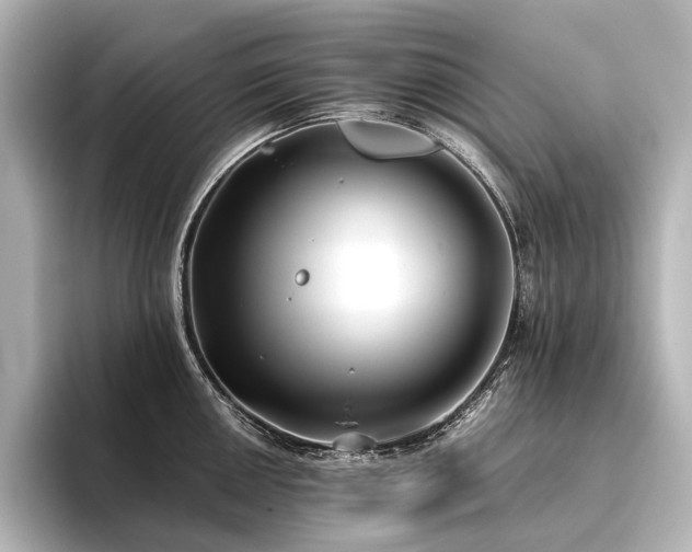 X0000096401050200801241157