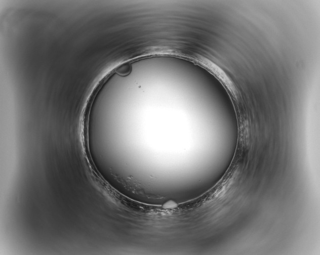 X0000096401051200801241157