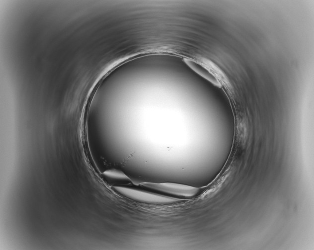 X0000096401052200801241157