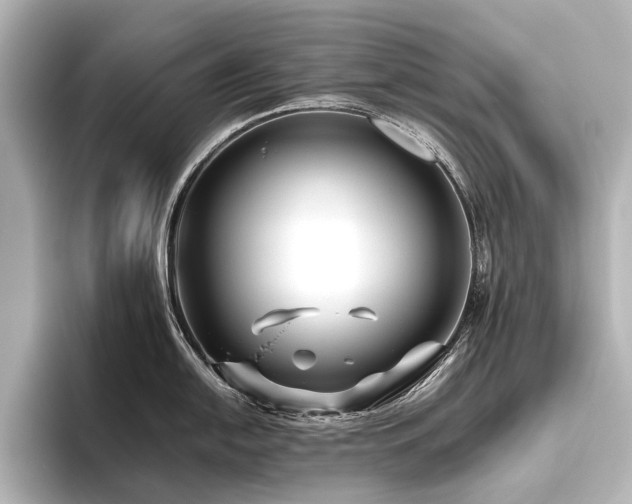 X0000096401054200801241157