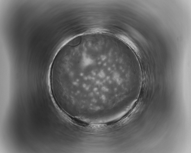 X0000096401055200801241157