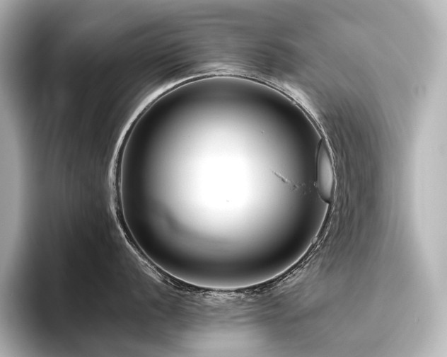 X0000096401056200801241157