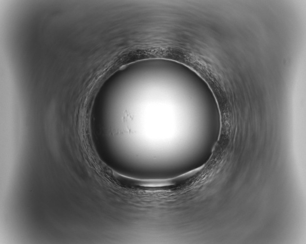 X0000096401057200801241156