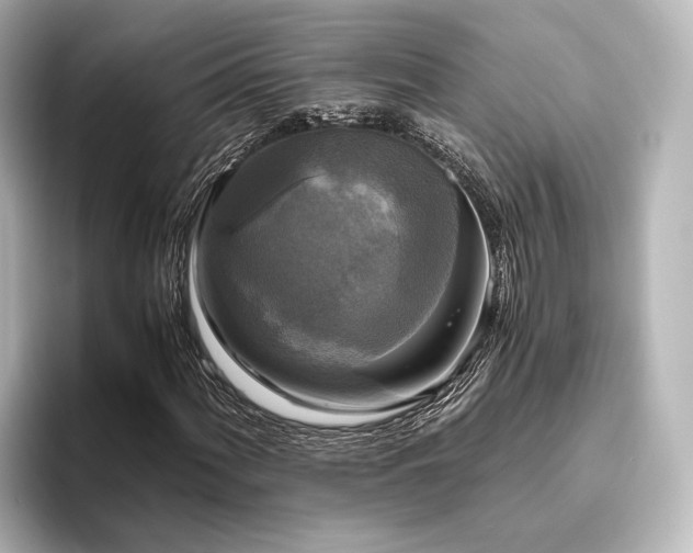 X0000096401060200801241156