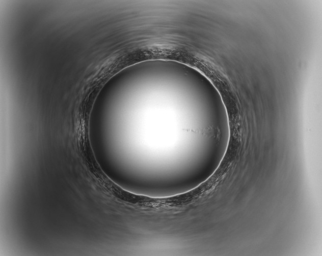 X0000096401061200801241156