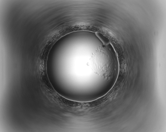 X0000096401062200801241156