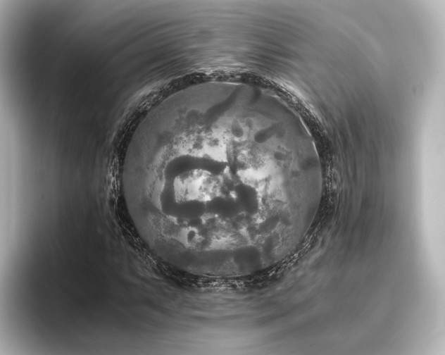 X0000096401063200801241156