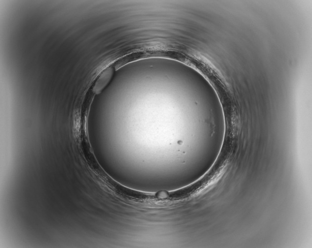 X0000096401065200801241156