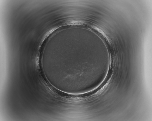 X0000096401066200801241156