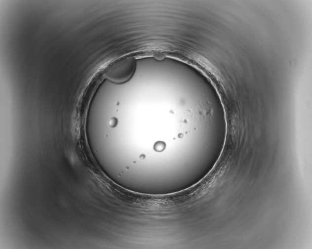 X0000096401067200801241156