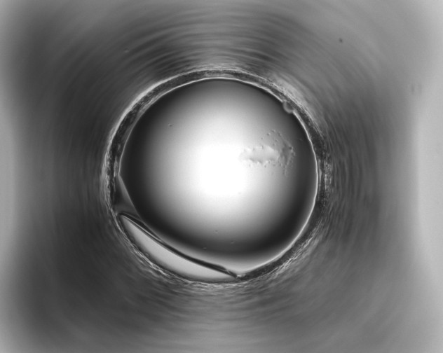 X0000096401068200801241156