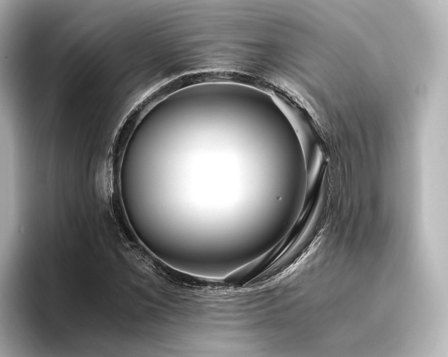 X0000096401069200801241156