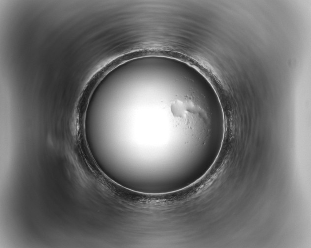 X0000096401070200801241156