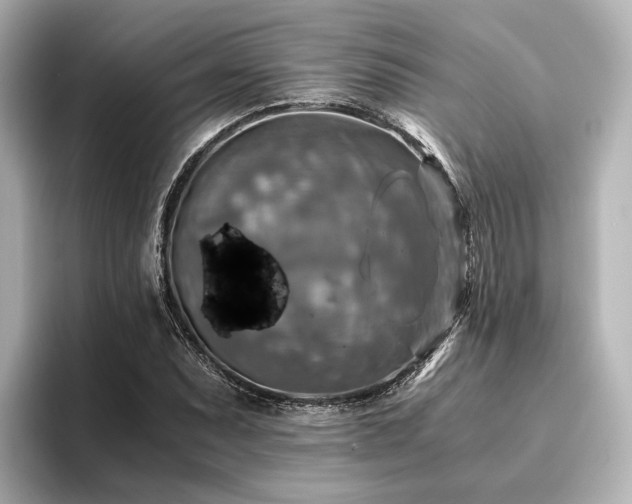 X0000096401071200801241156