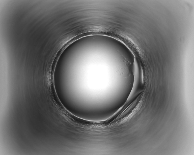 X0000096401073200801241156