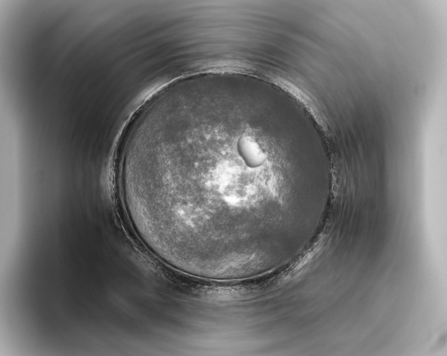 X0000096401074200801241156