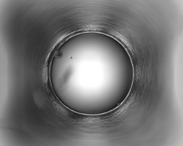 X0000096401075200801241156