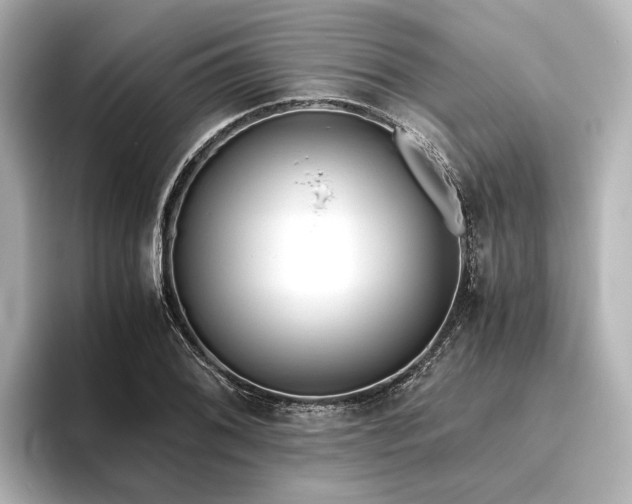 X0000096401076200801241156