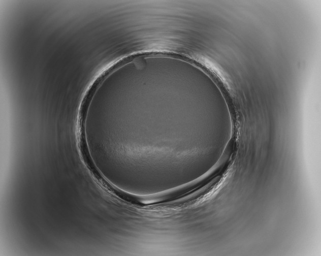 X0000096401077200801241156