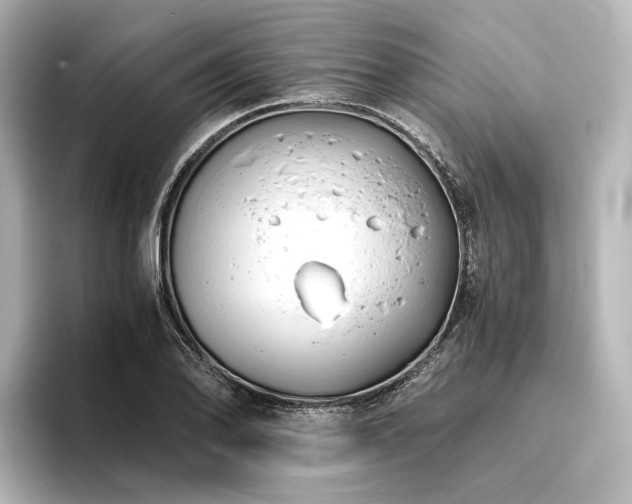 X0000096401078200801241156