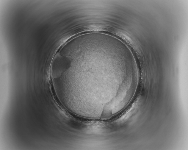 X0000096401081200801241156