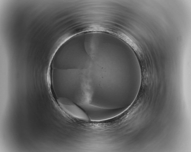 X0000096401084200801241156