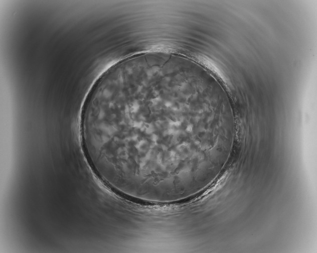 X0000096401087200801241156
