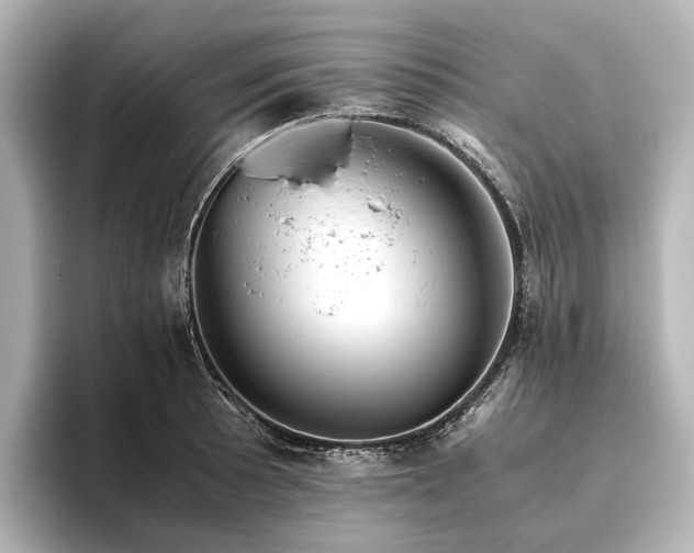 X0000096401089200801241156