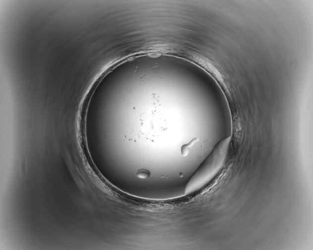 X0000096401091200801241156