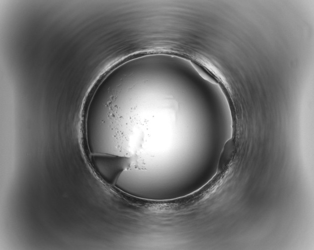 X0000096401093200801241156